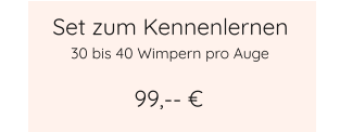 Set zum Kennenlernen 99,-- € 30 bis 40 Wimpern pro Auge